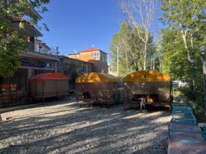 IMG_0780